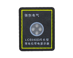 LC6540D闪光型等电位带电显示器(无源工作)